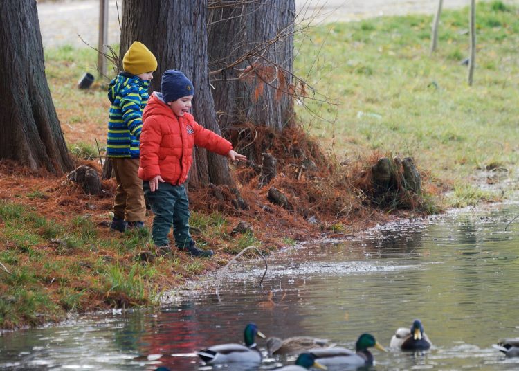 nas infundat copii remedii naturiste
