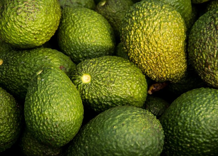 ulei de avocado extra virgin